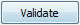 Validate Button